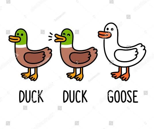 Duck, Duck, Goose 🪿 Drinkware Game